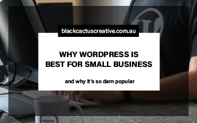 Why WordPress is best for small business